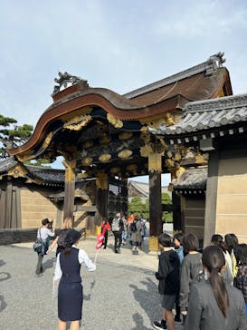 元離宮二条城に投稿された画像（2024/10/31）