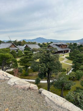 元離宮二条城に投稿された画像（2024/10/31）