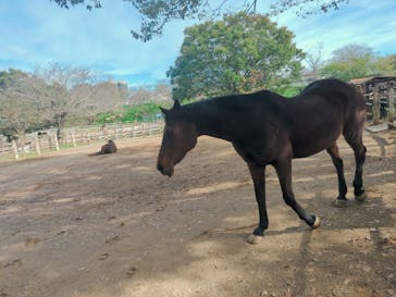 成田ゆめ牧場に投稿された画像（2024/10/31）