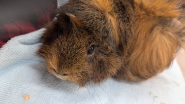 成田ゆめ牧場に投稿された画像（2024/10/31）