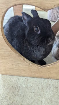 成田ゆめ牧場に投稿された画像（2024/10/31）