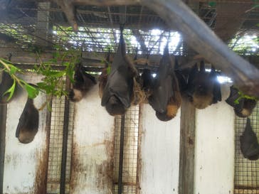 おきなわワールドに投稿された画像（2024/10/31）