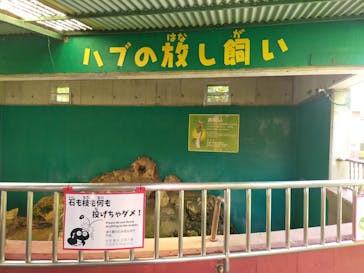 おきなわワールドに投稿された画像（2024/10/31）