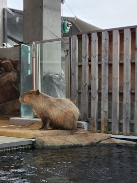 AQUARIUM × ART　atoaに投稿された画像（2024/10/31）