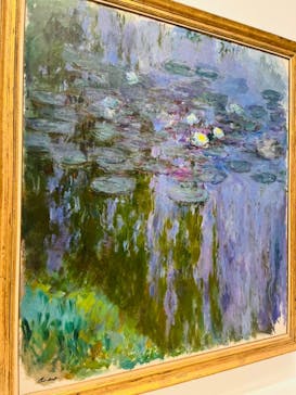 モネ 睡蓮のとき（国立西洋美術館）に投稿された画像（2024/10/31）