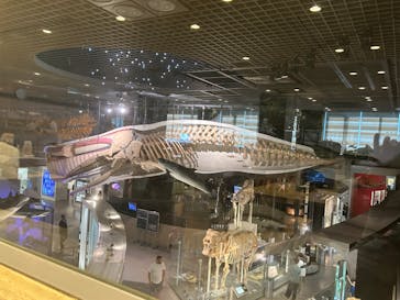 国立科学博物館に投稿された画像（2024/10/31）