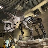 国立科学博物館に投稿された画像（2024/10/31）