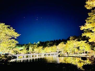 国営昭和記念公園 秋の夜散歩に投稿された画像（2024/10/31）