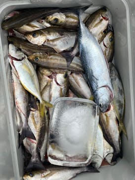 With Ocean（ウィズオーシャン）に投稿された画像（2024/10/31）