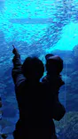 仙台うみの杜水族館に投稿された画像（2024/10/31）