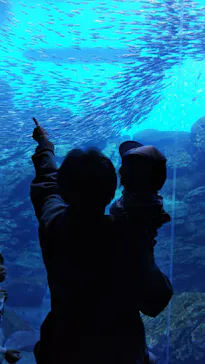 仙台うみの杜水族館に投稿された画像（2024/10/31）