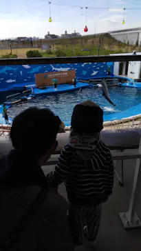 仙台うみの杜水族館に投稿された画像（2024/10/31）