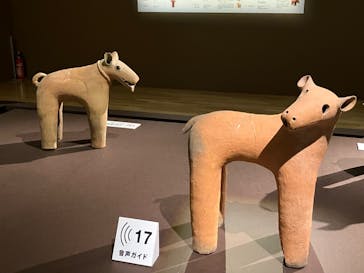 挂甲の武人 国宝指定50周年記念 特別展「はにわ」@東京国立博物館 平成館に投稿された画像（2024/10/31）