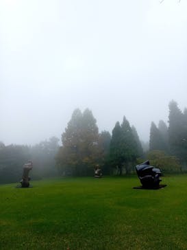 彫刻の森美術館に投稿された画像（2024/10/31）