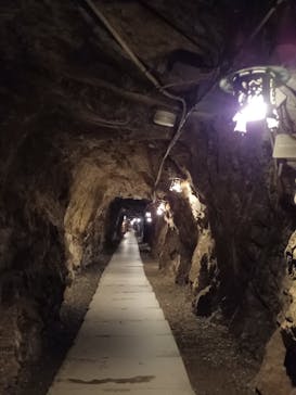 土肥金山に投稿された画像（2024/10/31）