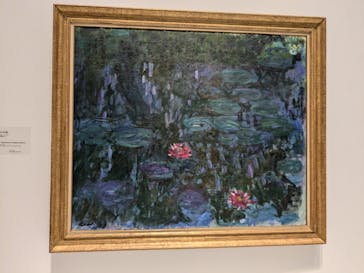 モネ 睡蓮のとき（国立西洋美術館）に投稿された画像（2024/10/31）
