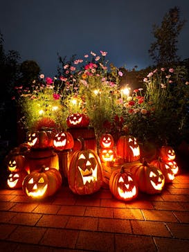 横浜イングリッシュガーデンに投稿された画像（2024/10/31）