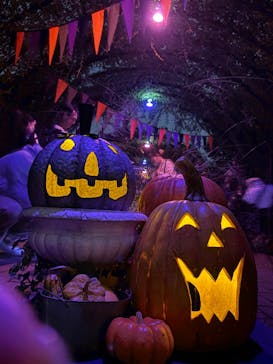 横浜イングリッシュガーデンに投稿された画像（2024/10/31）