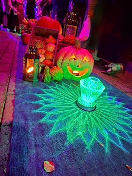 横浜イングリッシュガーデンに投稿された画像（2024/10/31）