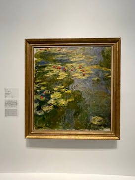 モネ 睡蓮のとき（国立西洋美術館）に投稿された画像（2024/10/31）