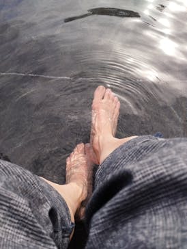 彫刻の森美術館に投稿された画像（2024/10/31）