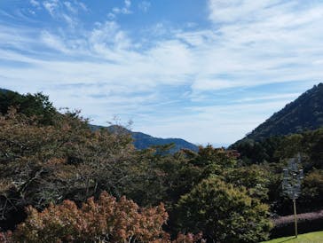 彫刻の森美術館に投稿された画像（2024/10/31）