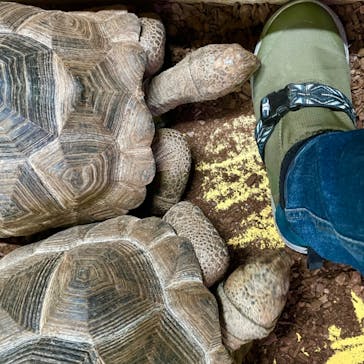 体感型動物園iZooに投稿された画像（2024/10/31）