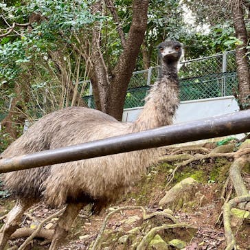 体感型動物園iZooに投稿された画像（2024/10/31）