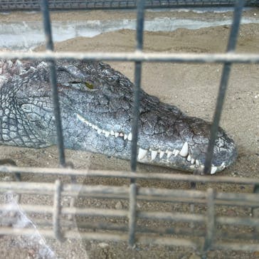 体感型動物園iZooに投稿された画像（2024/10/31）