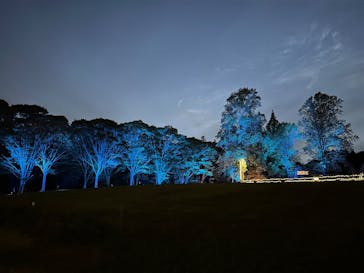 いばらきフラワーパークに投稿された画像（2024/10/31）