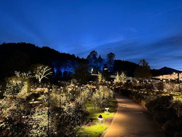 いばらきフラワーパークに投稿された画像（2024/10/31）