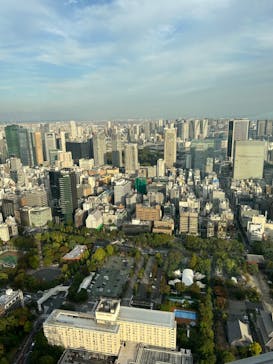 東京タワーに投稿された画像（2024/10/31）