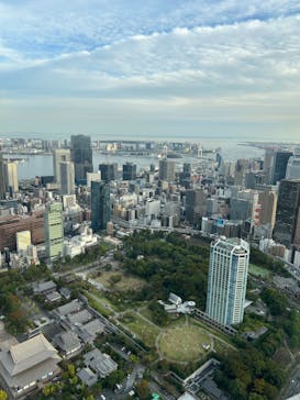 東京タワーに投稿された画像（2024/10/31）