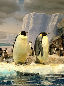 名古屋港水族館に投稿された画像（2024/10/31）