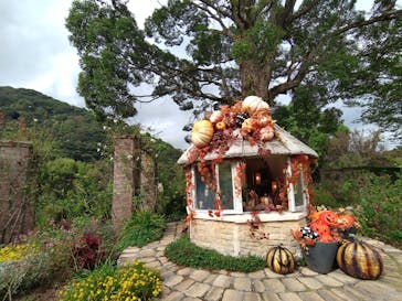 ACAO FORESTに投稿された画像（2024/10/31）