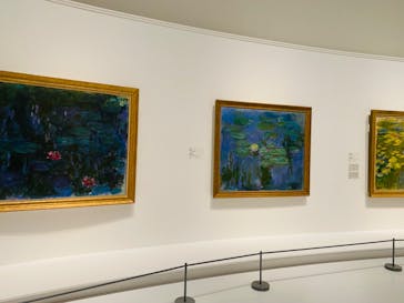 モネ 睡蓮のとき（国立西洋美術館）に投稿された画像（2024/11/1）