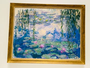 モネ 睡蓮のとき（国立西洋美術館）に投稿された画像（2024/11/1）