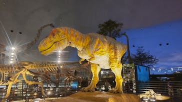 福井県立恐竜博物館に投稿された画像（2024/11/1）