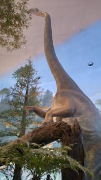 福井県立恐竜博物館に投稿された画像（2024/11/1）