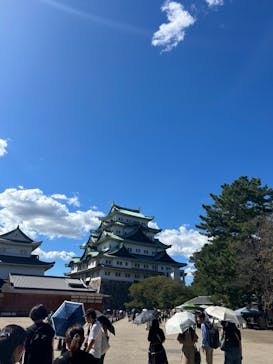 名古屋城に投稿された画像（2024/11/1）