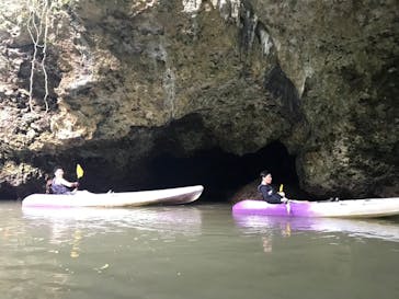 CHOROに投稿された画像（2024/11/1）