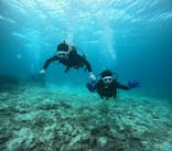 青の洞窟専門店　沖縄ダイビングショップ和に投稿された画像（2024/11/1）