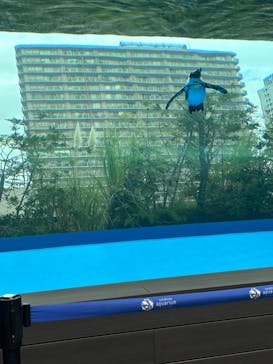 サンシャイン水族館に投稿された画像（2024/11/1）