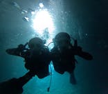 沖縄マリンサービス碧に投稿された画像（2024/11/1）