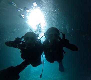 沖縄マリンサービス碧に投稿された画像（2024/11/1）