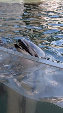 城崎マリンワールドに投稿された画像（2024/11/1）