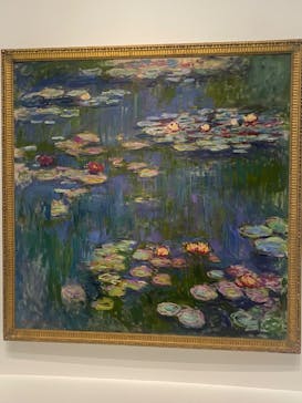 モネ 睡蓮のとき（国立西洋美術館）に投稿された画像（2024/11/1）