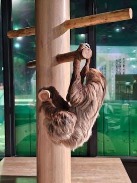 DMMかりゆし水族館に投稿された画像（2024/11/1）