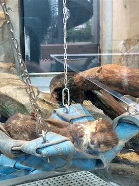 AQUARIUM × ART　atoaに投稿された画像（2024/11/1）