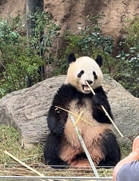 恩賜上野動物園に投稿された画像（2024/11/1）